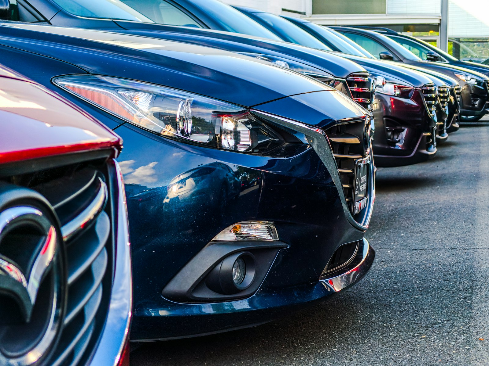 Automobile, Food & Other Sectors